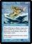 Whirlpool Rider